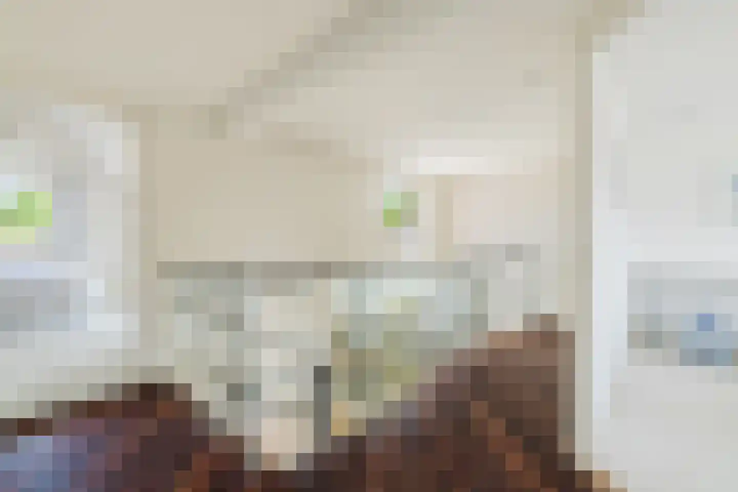 Vlasspreistraat 7 Liempde thumbnail 55