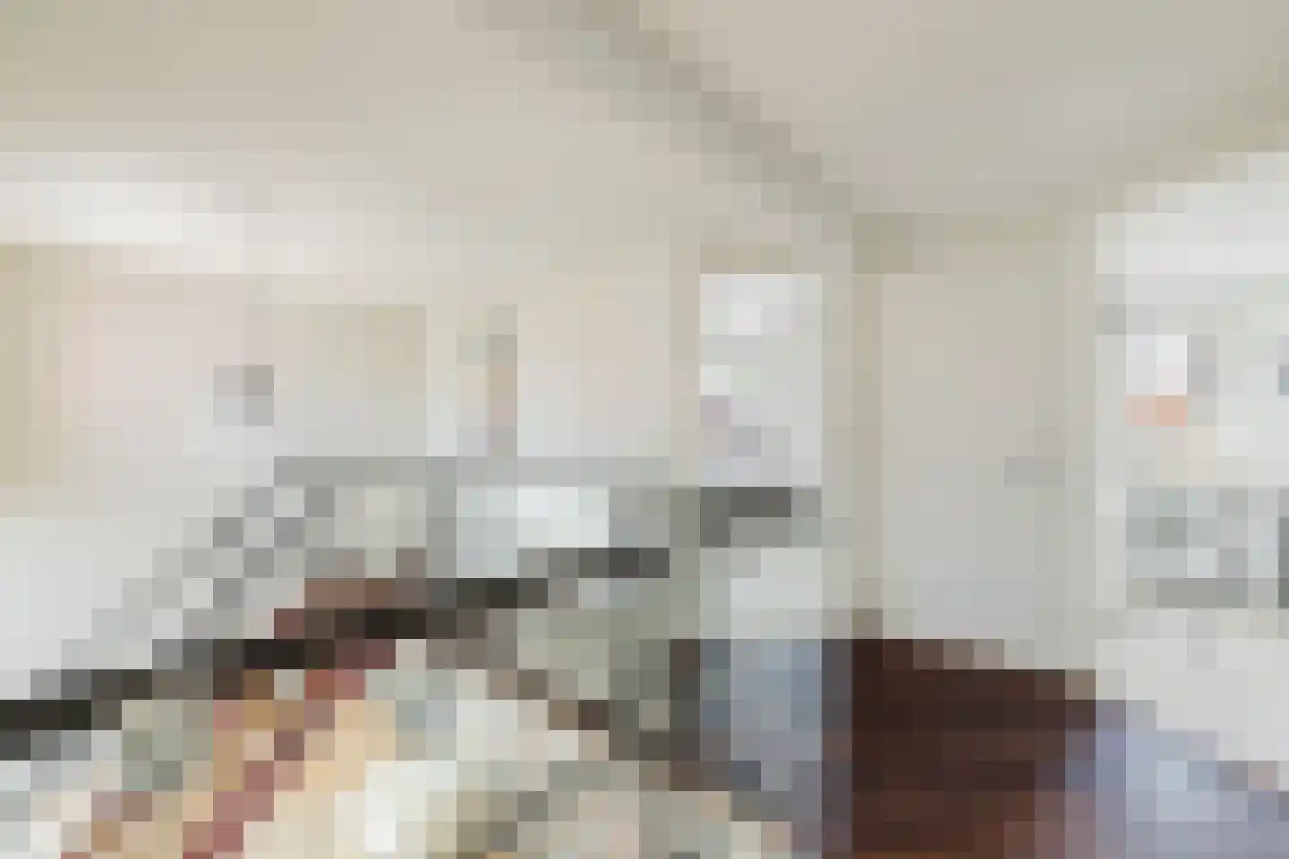 Vlasspreistraat 7 Liempde thumbnail 56