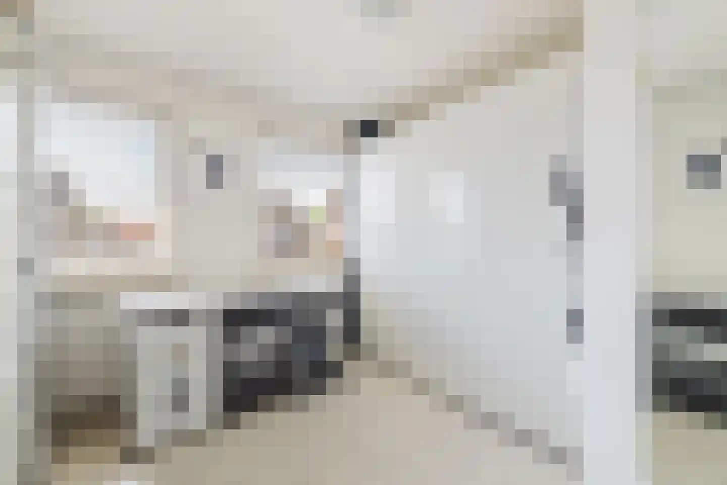 Vlasspreistraat 7 Liempde thumbnail 58
