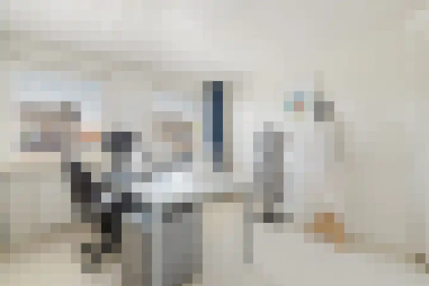 Vlasspreistraat 7 Liempde thumbnail 59