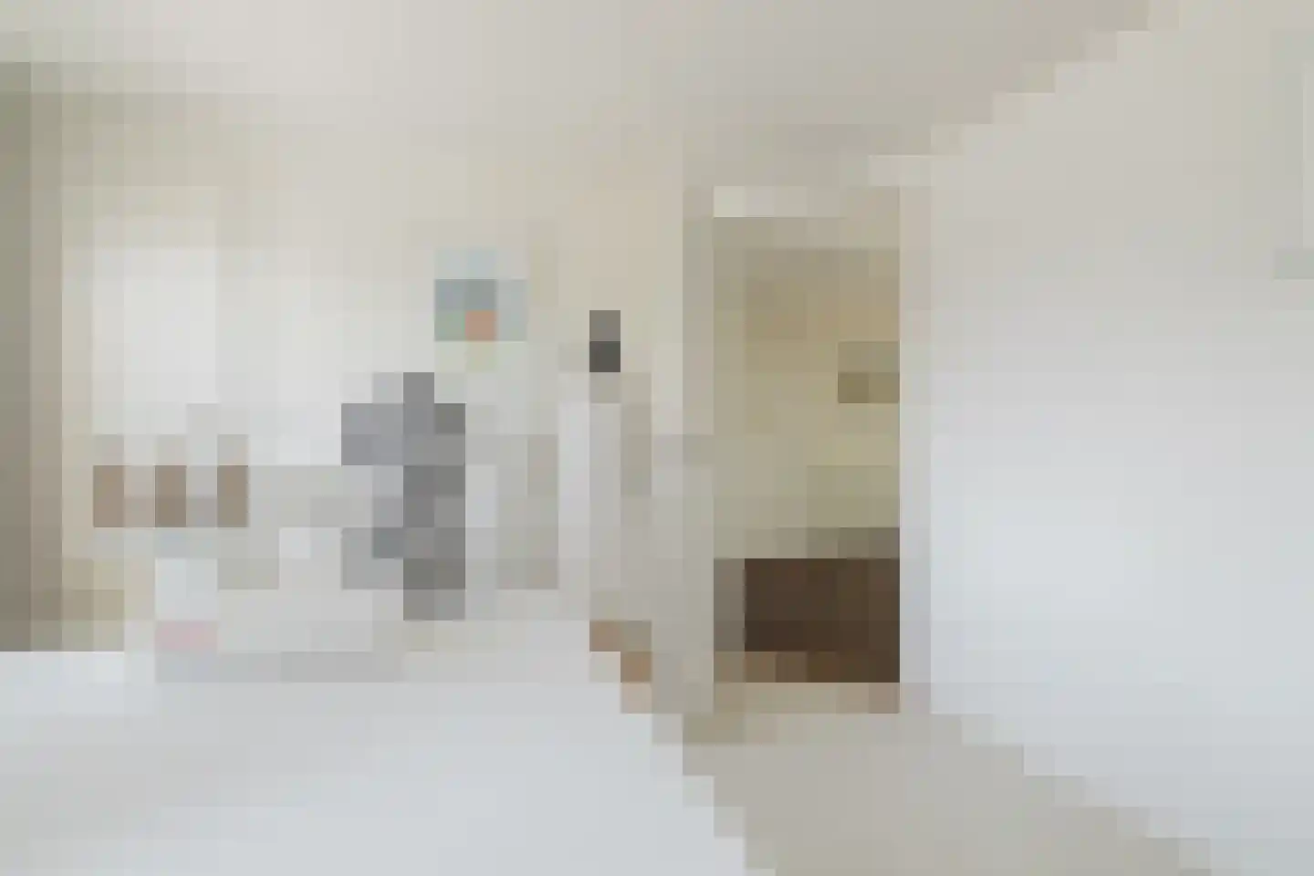 Vlasspreistraat 7 Liempde thumbnail 61