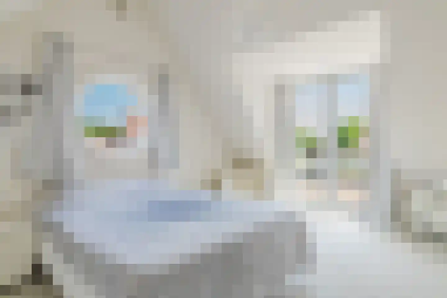 Vlasspreistraat 7 Liempde thumbnail 63