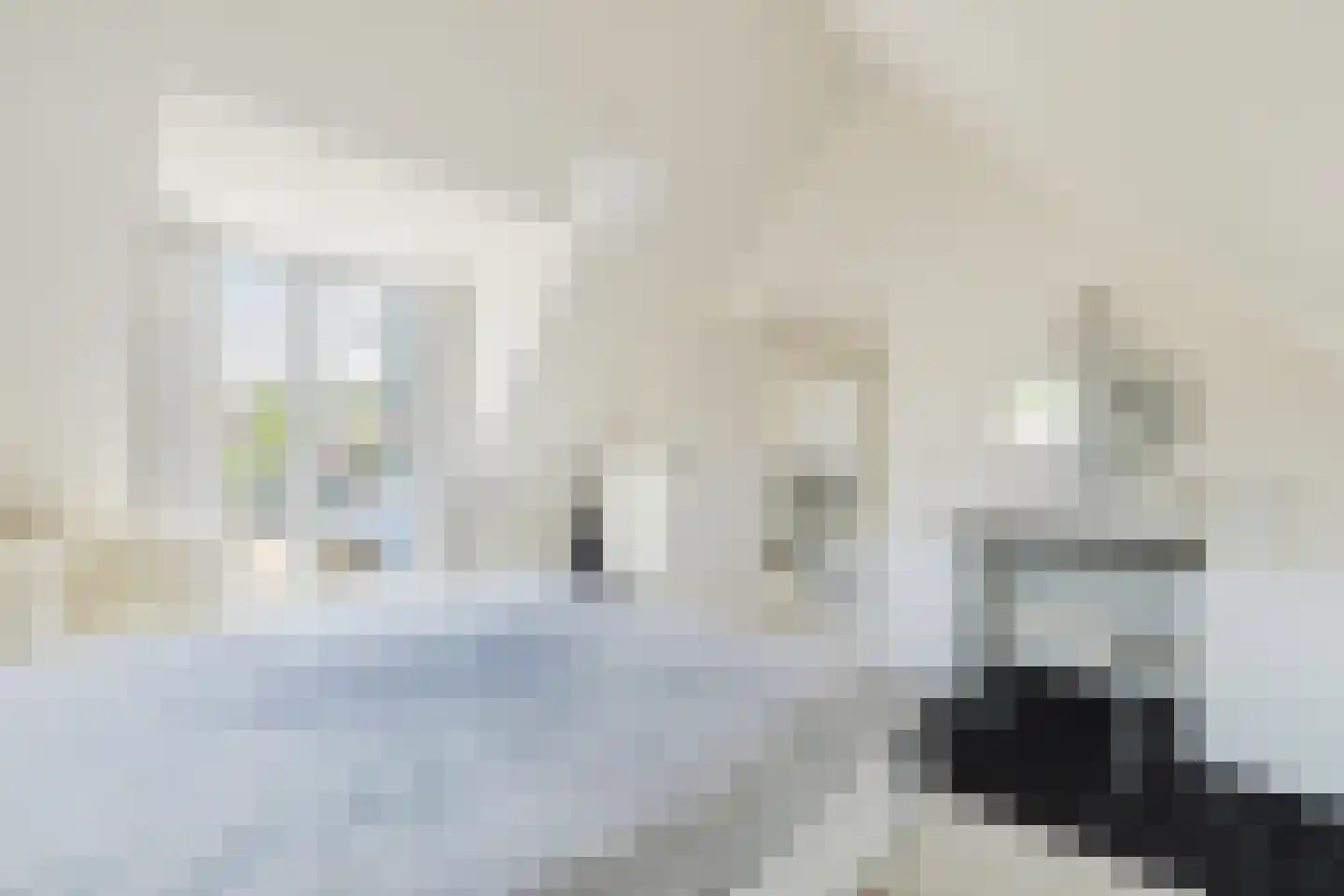 Vlasspreistraat 7 Liempde thumbnail 64