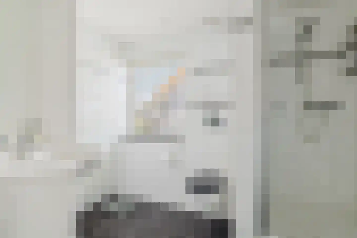 Vlasspreistraat 7 Liempde thumbnail 66