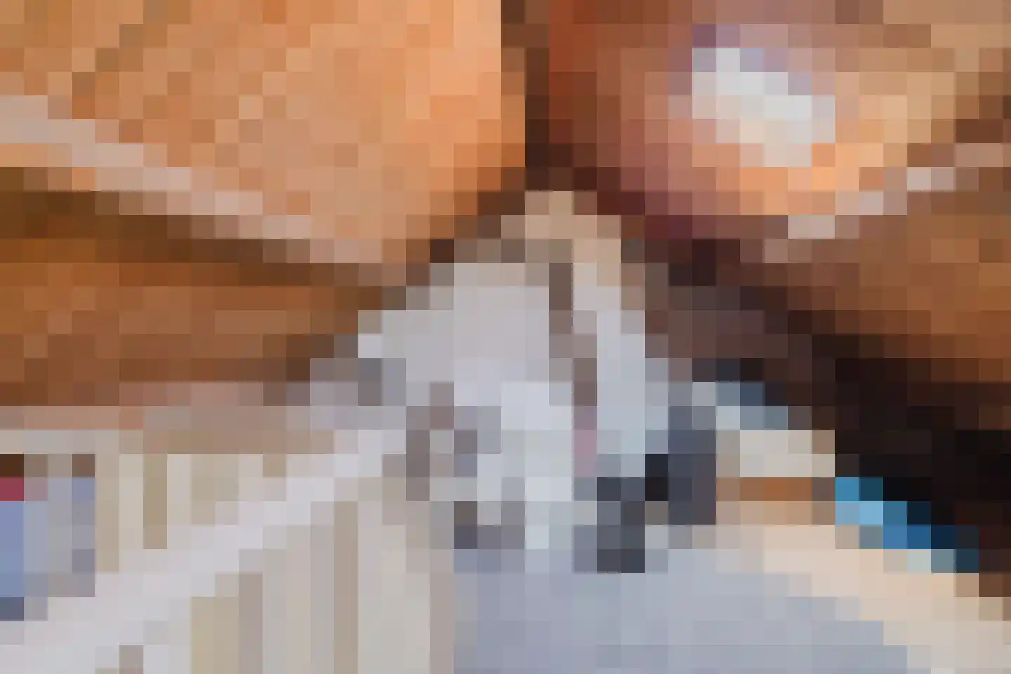 Vlasspreistraat 7 Liempde thumbnail 67