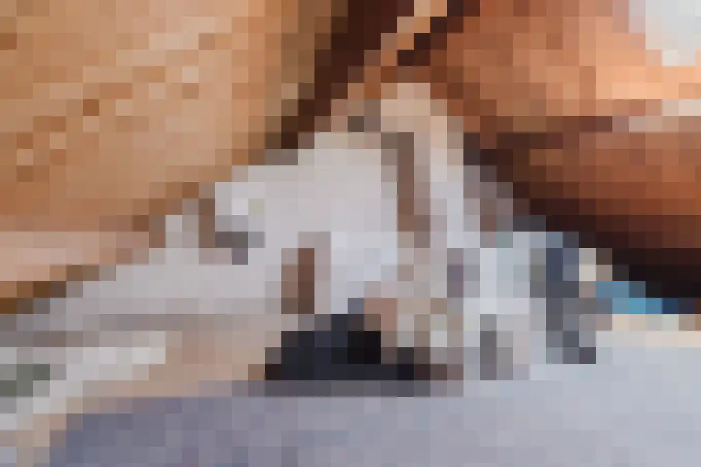 Vlasspreistraat 7 Liempde thumbnail 68