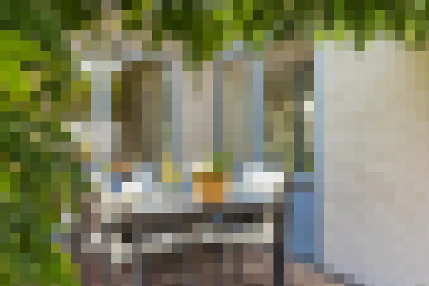 Vlasspreistraat 7 Liempde thumbnail 73