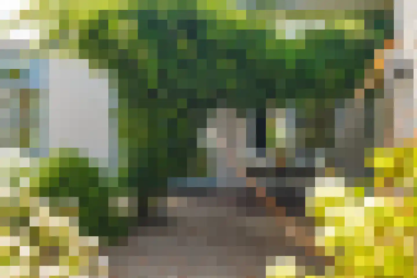 Vlasspreistraat 7 Liempde thumbnail 74