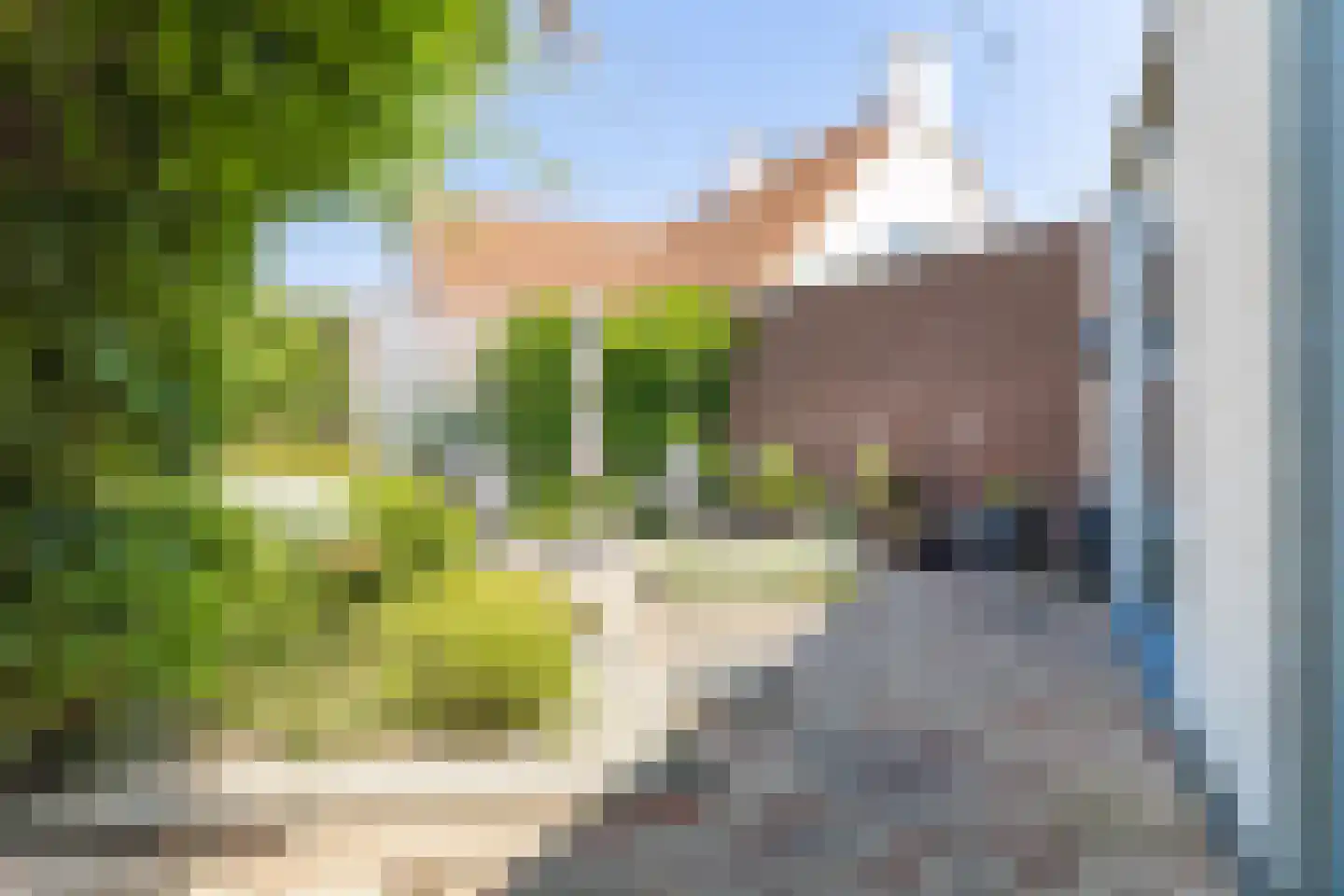 Vlasspreistraat 7 Liempde thumbnail 79