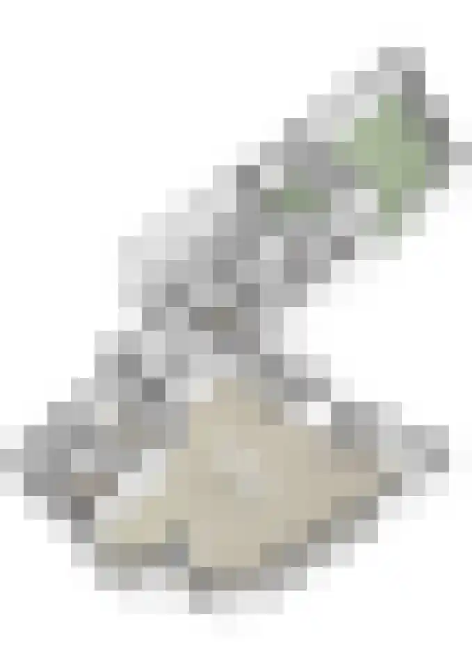 Vlasspreistraat 7 Liempde thumbnail 85