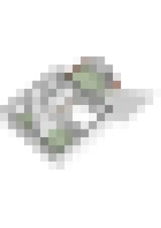 Vlasspreistraat 7 Liempde thumbnail 86