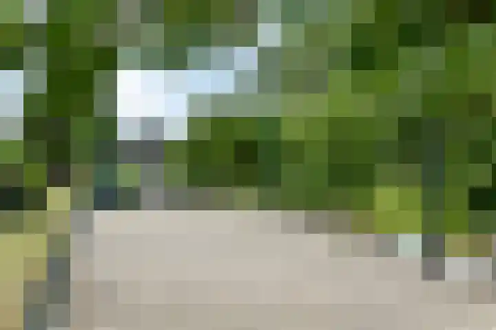 Vlasstee 12 Elst thumbnail 10
