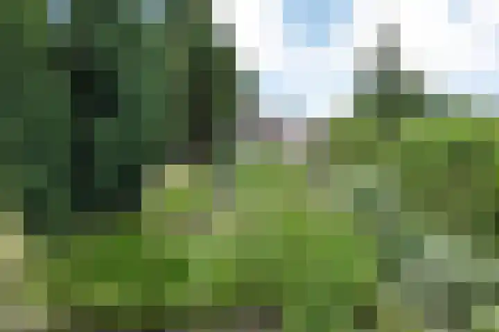 Vlasstee 12 Elst thumbnail 11