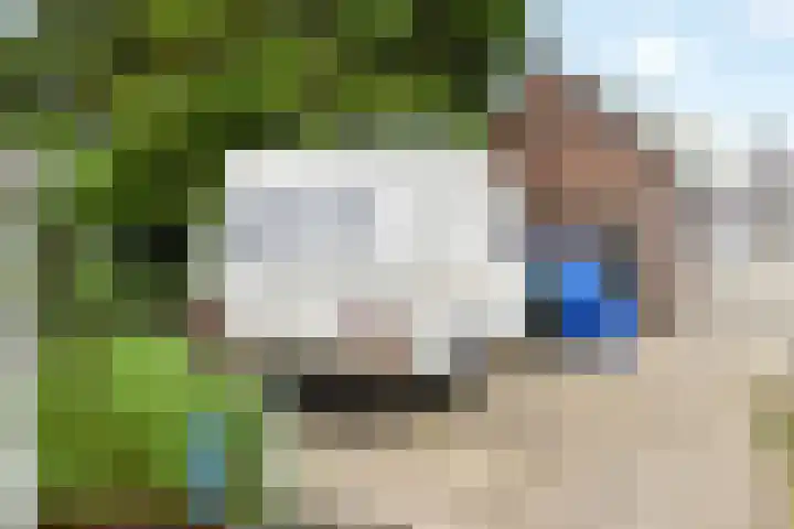 Vlasstee 12 Elst thumbnail 13