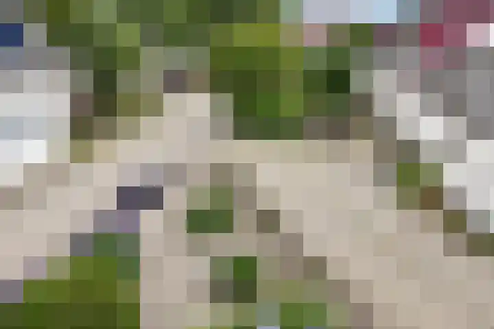 Vlasstee 12 Elst thumbnail 16