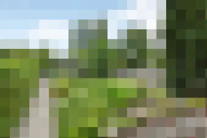 Vlasstee 12 Elst thumbnail 5