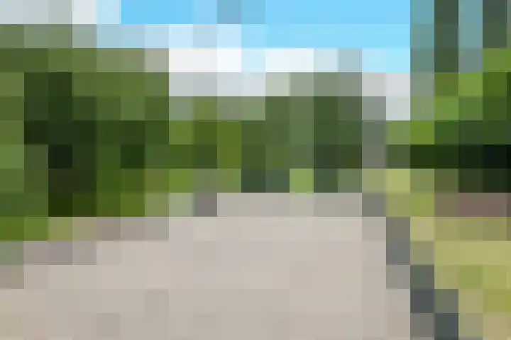 Vlasstee 12 Elst thumbnail 7