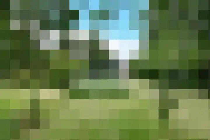 Vlasstee 12 Elst thumbnail 8