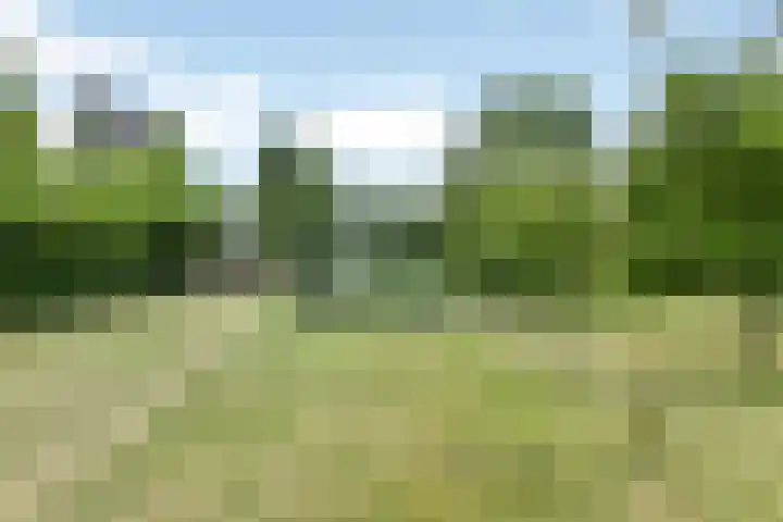 Vlasstee 12 Elst thumbnail 9