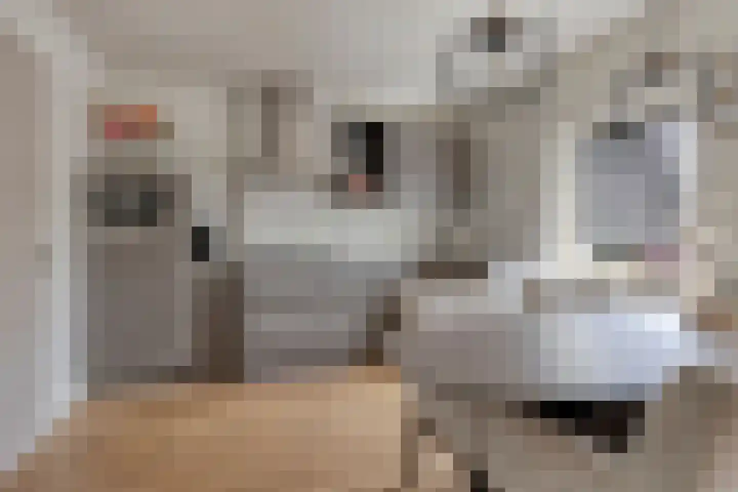 Vlasstraat 1 A Oss thumbnail 16