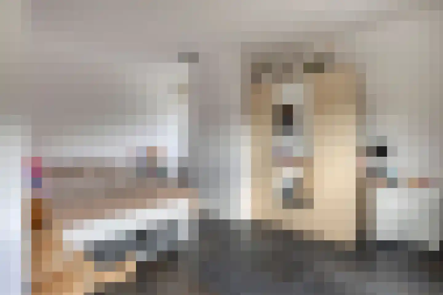 Vlasstraat 1 A Oss thumbnail 31