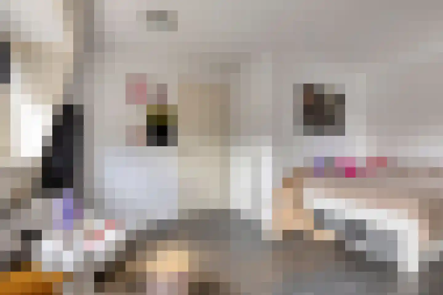 Vlasstraat 1 A Oss thumbnail 33