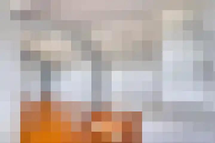 Vlasstraat 13 Heikant thumbnail 23