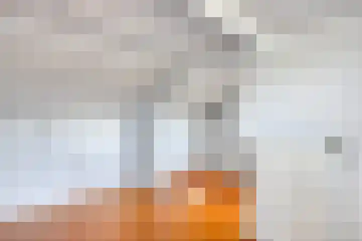 Vlasstraat 13 Heikant thumbnail 24