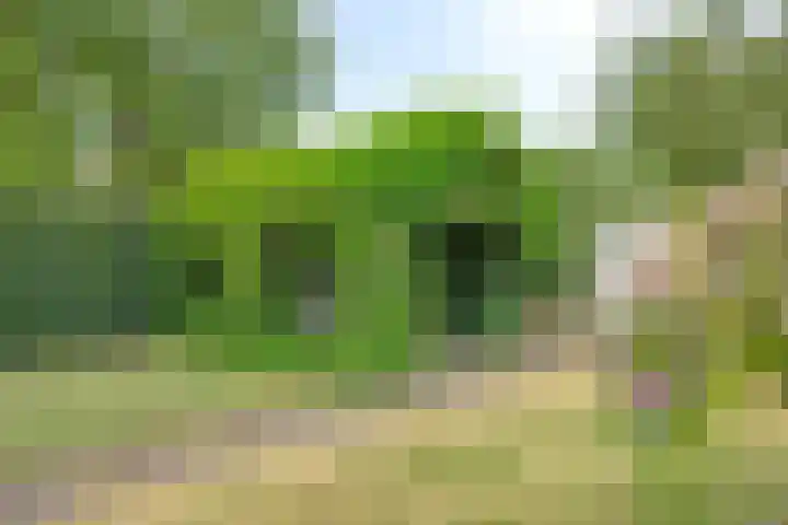Vlasstraat 13 Heikant thumbnail 36