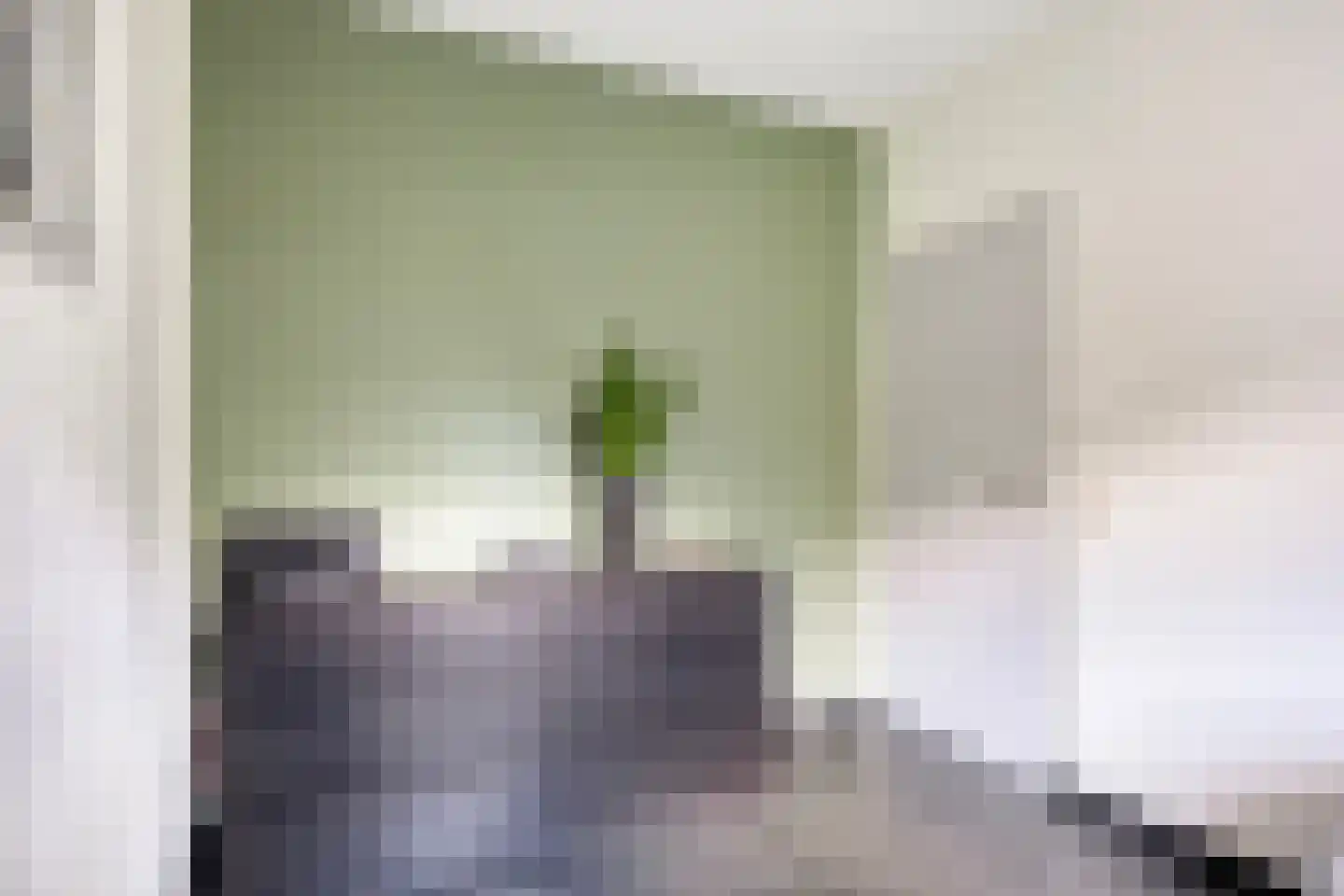 Vlasstraat 13 Nistelrode thumbnail 13