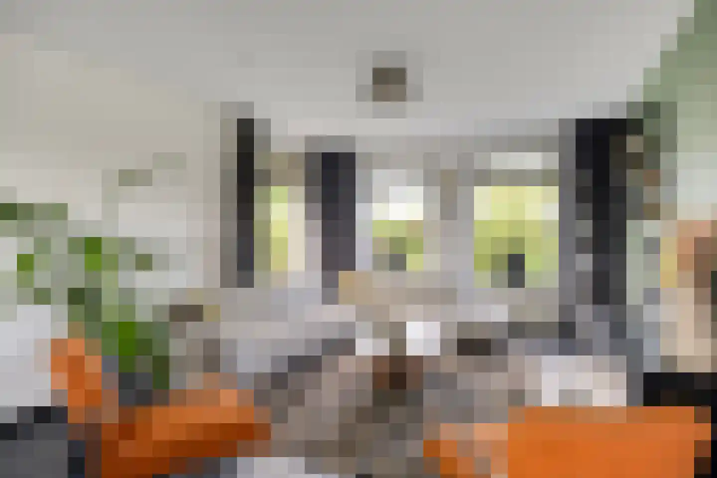 Vlasstraat 13 Nistelrode thumbnail 15