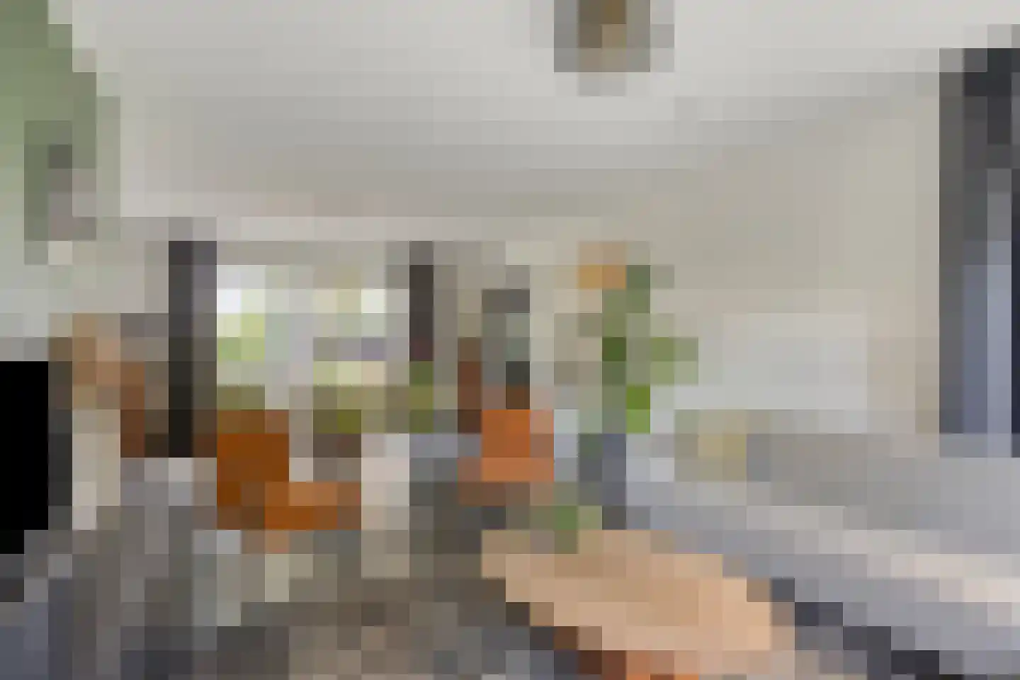 Vlasstraat 13 Nistelrode thumbnail 16