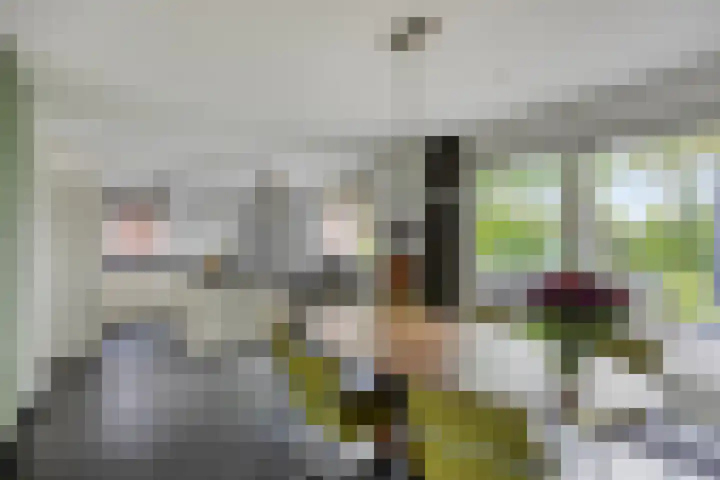 Vlasstraat 13 Nistelrode thumbnail 20