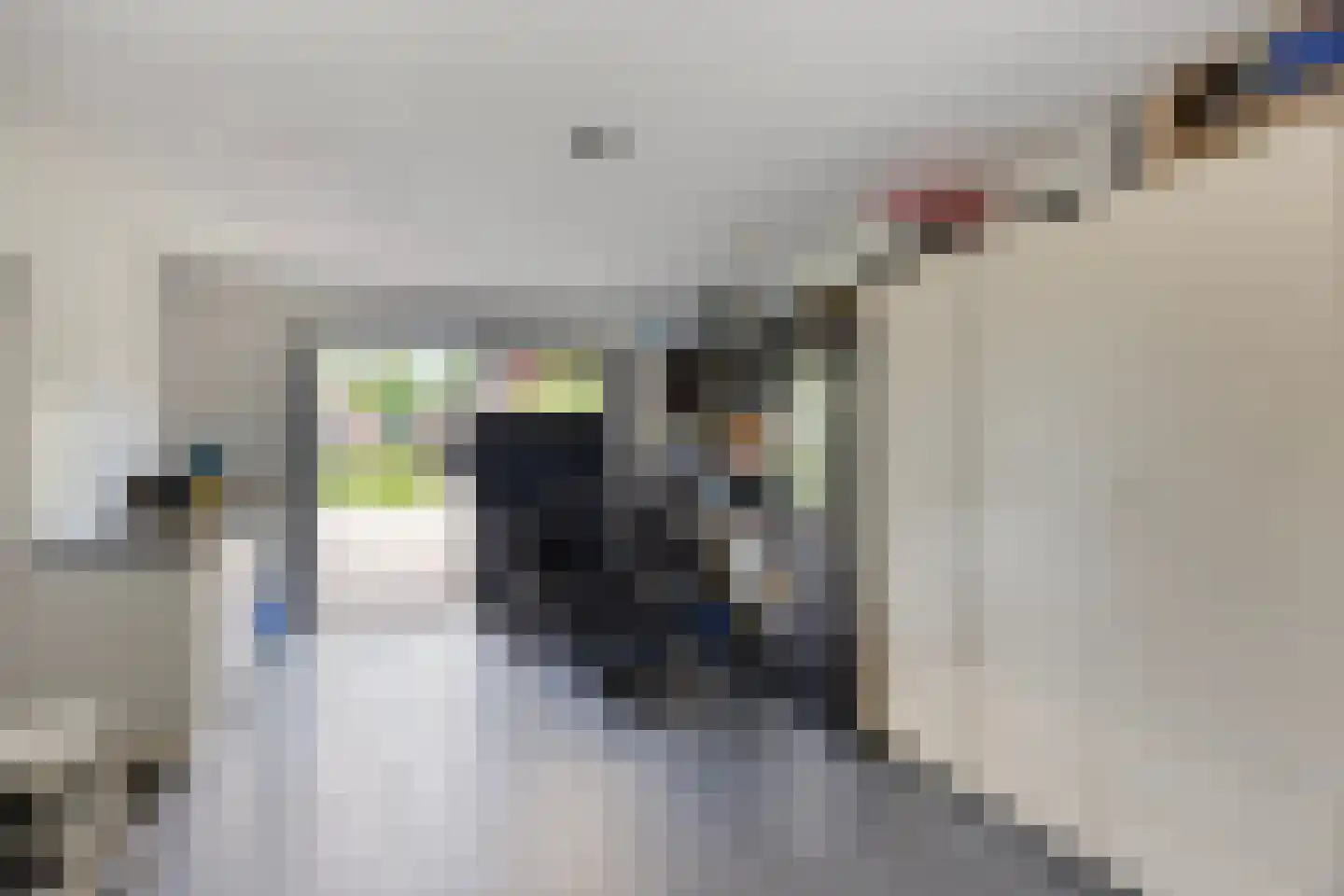 Vlasstraat 13 Nistelrode thumbnail 25
