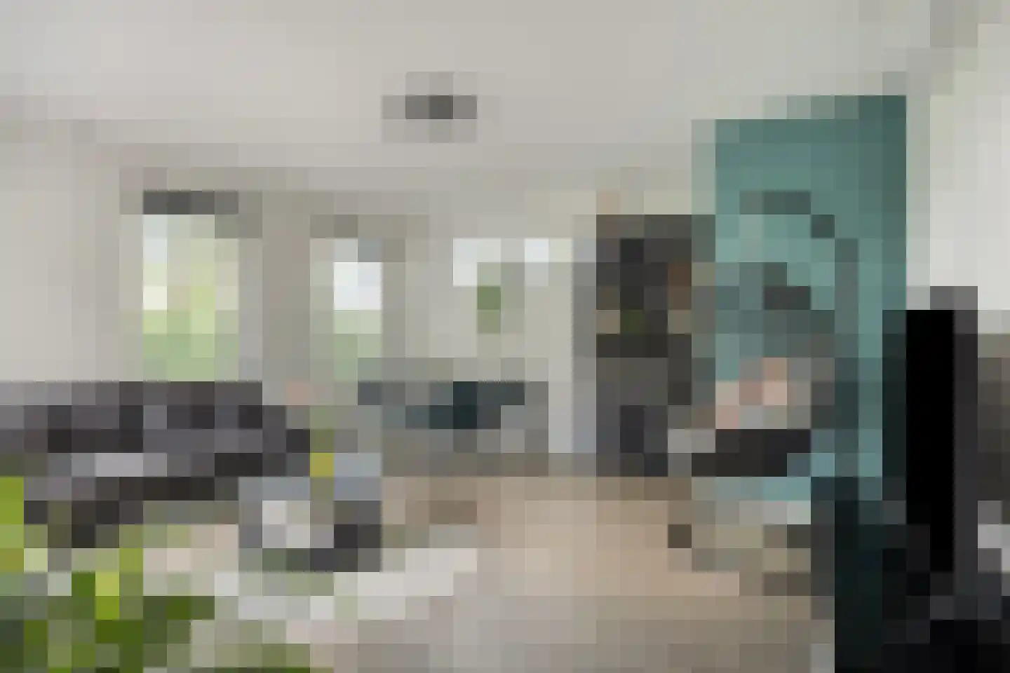 Vlasstraat 13 Nistelrode thumbnail 27