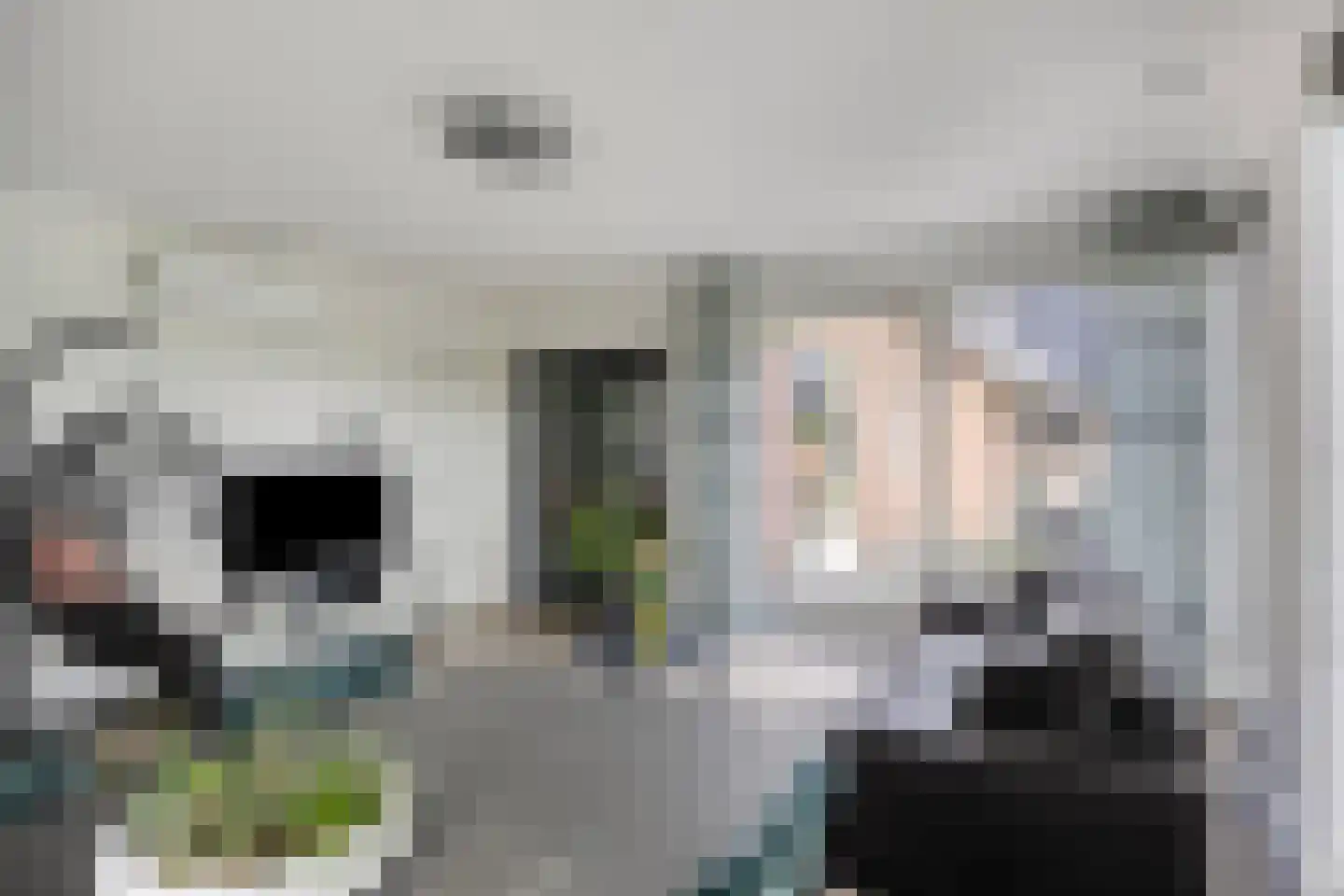 Vlasstraat 13 Nistelrode thumbnail 28