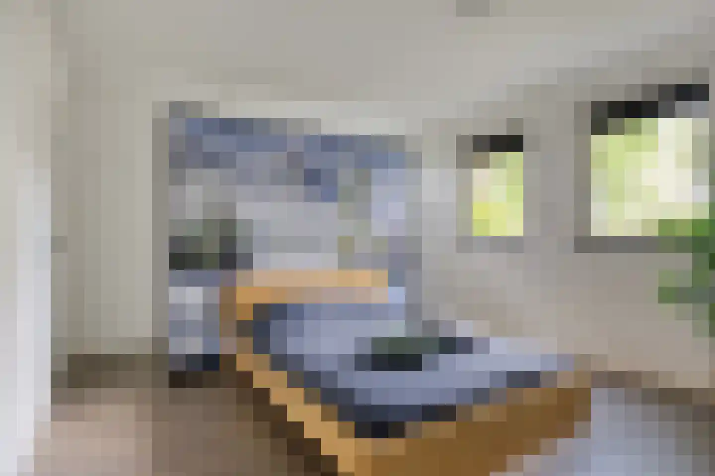 Vlasstraat 13 Nistelrode thumbnail 29