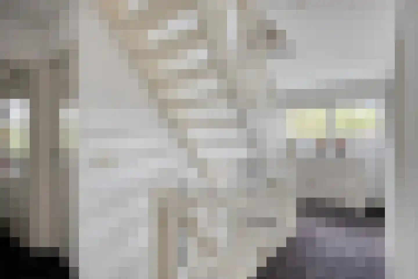 Vlasstraat 13 Nistelrode thumbnail 33