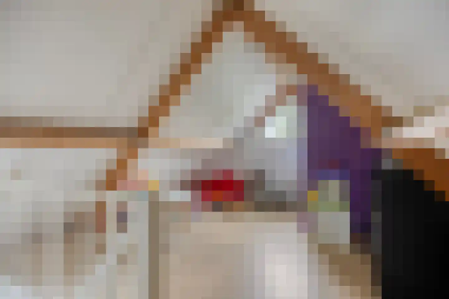 Vlasstraat 13 Nistelrode thumbnail 43