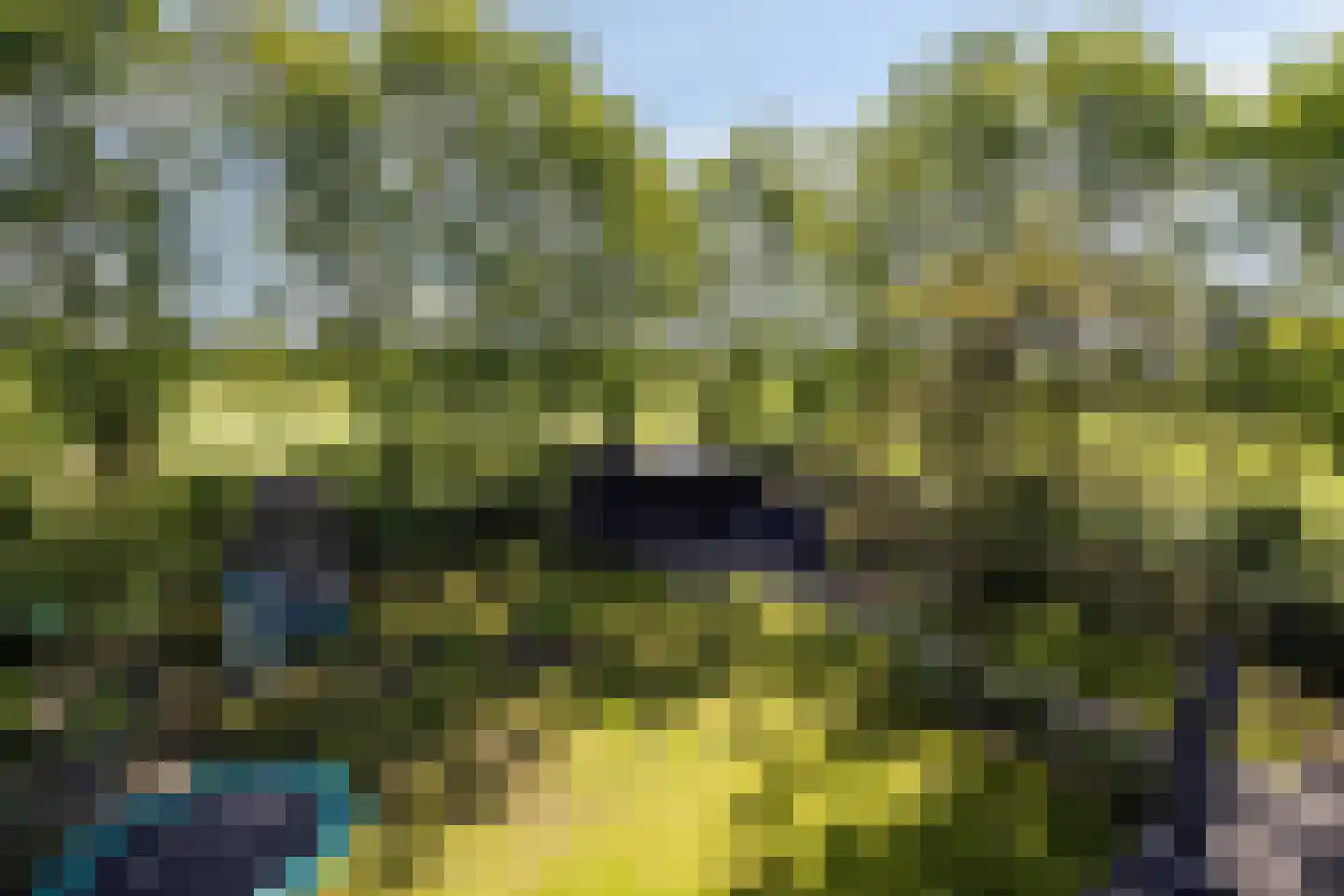 Vlasstraat 13 Nistelrode thumbnail 46