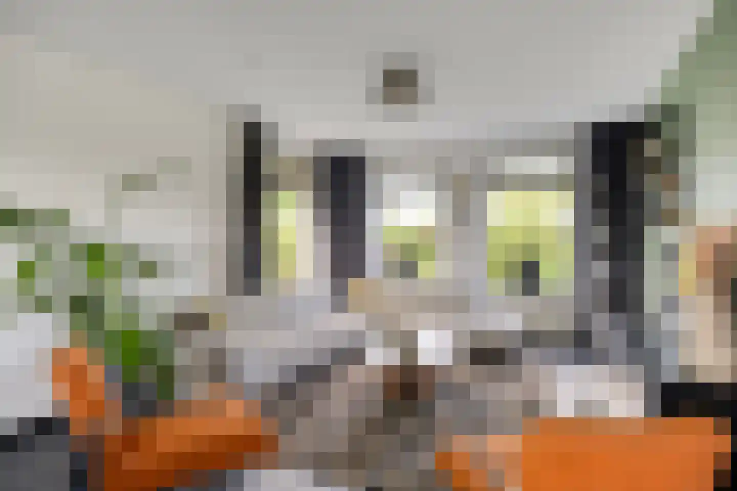 Vlasstraat 13 Nistelrode thumbnail 5