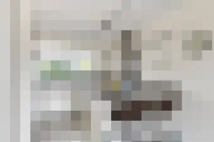 Vlasstraat 16 Bruinisse thumbnail 12