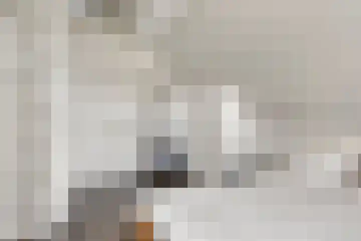 Vlasstraat 16 Bruinisse thumbnail 25
