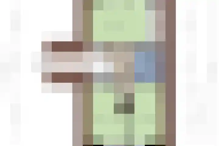 Vlasstraat 16 Bruinisse thumbnail 31