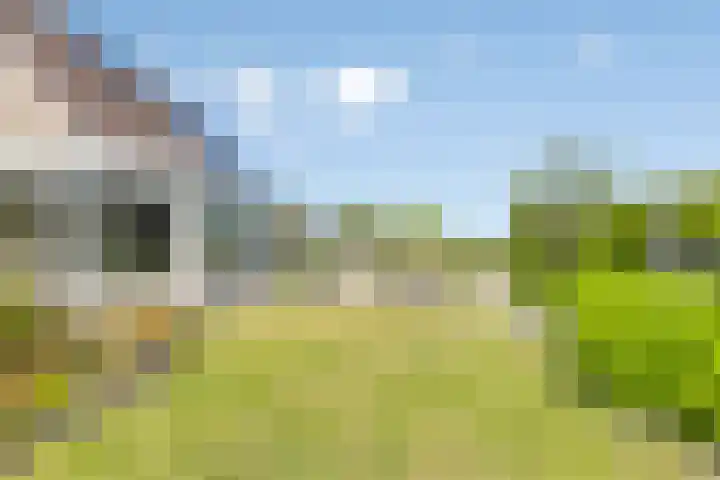 Vlasstraat 16 Bruinisse thumbnail 34
