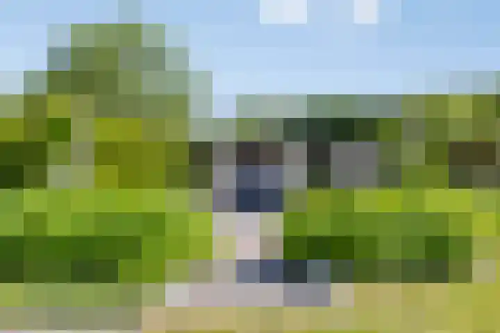 Vlasstraat 16 Bruinisse thumbnail 37