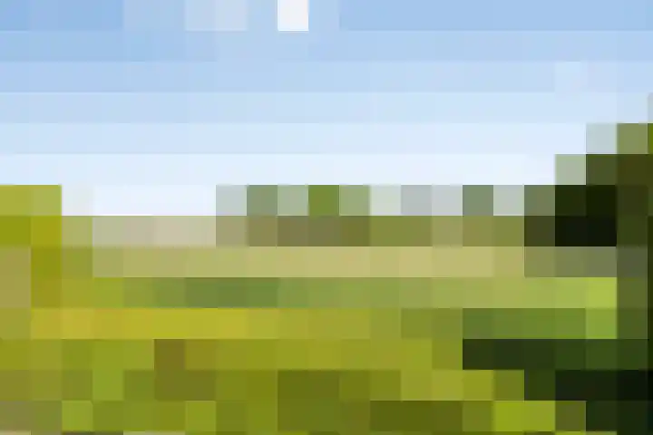 Vlasstraat 16 Bruinisse thumbnail 38