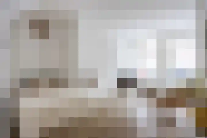 Vlasstraat 16 Groningen thumbnail 10