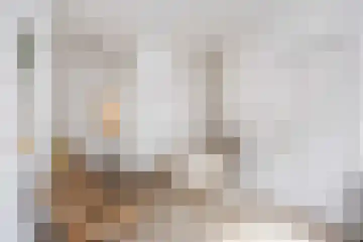 Vlasstraat 16 Groningen thumbnail 8