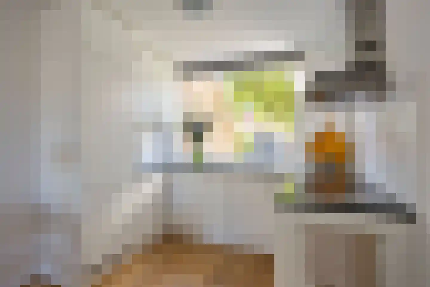 Vlasstraat 18 Purmerend thumbnail 20